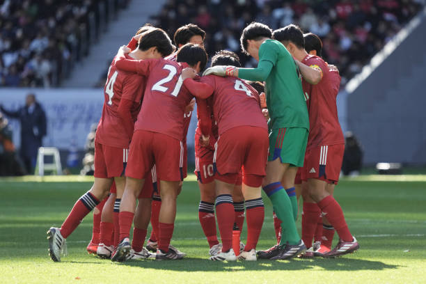 仅云集了全 仅云集了全